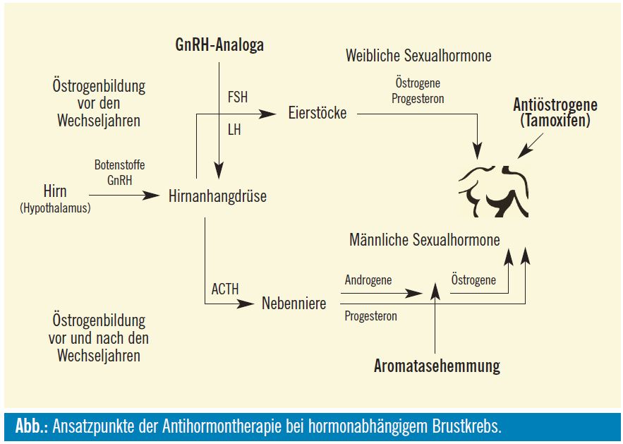 Manche Leute sind mit Testosterone Enanthate 300 mg Cygnus ausgezeichnet und manche nicht - Welcher bist du?