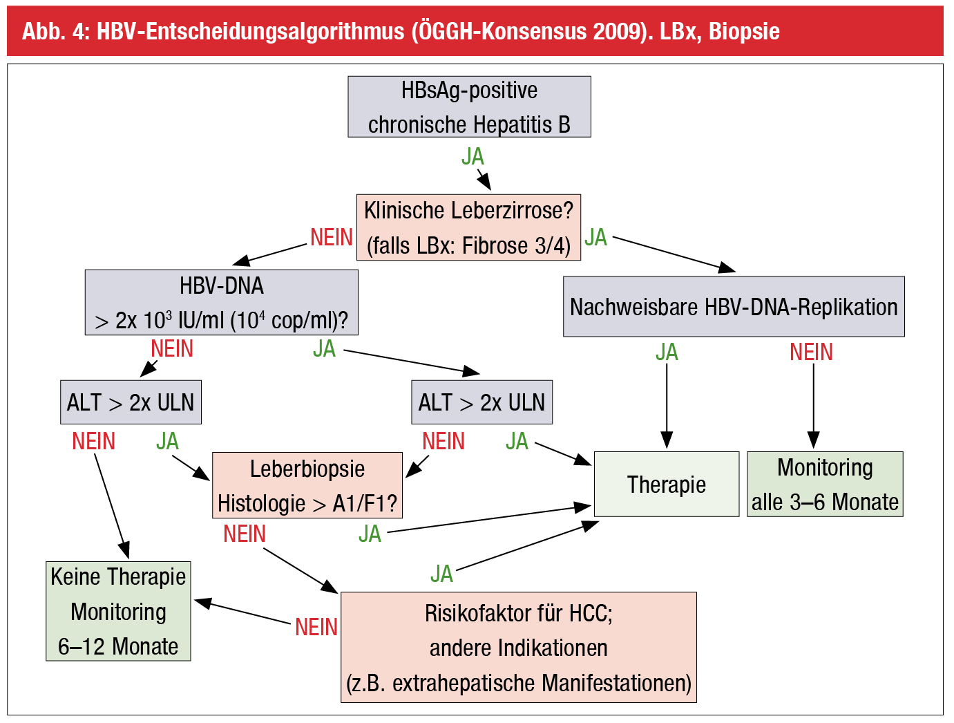 Update Hepatitis B | Die Punkte | MedMedia