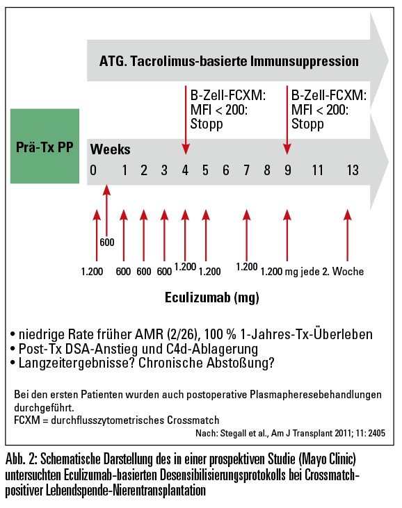 Eculizumab und Transplantatabstoßung NephroScript MedMedia