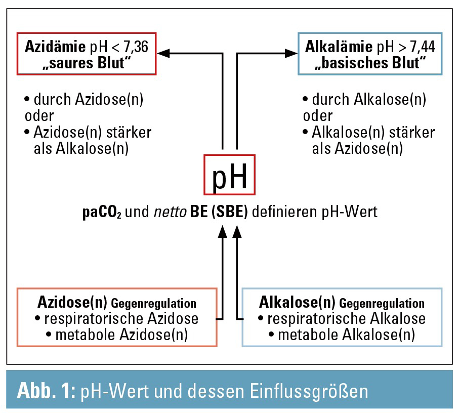 Saure Basen Haushalt Leicht Er Gemacht Der Stewart Approach Bedside Medmedia