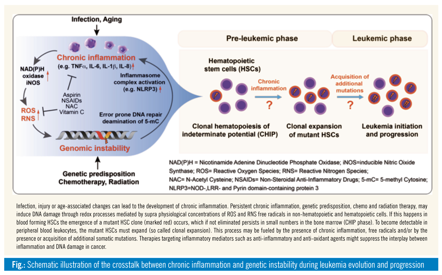 Cancer genetic instability, References