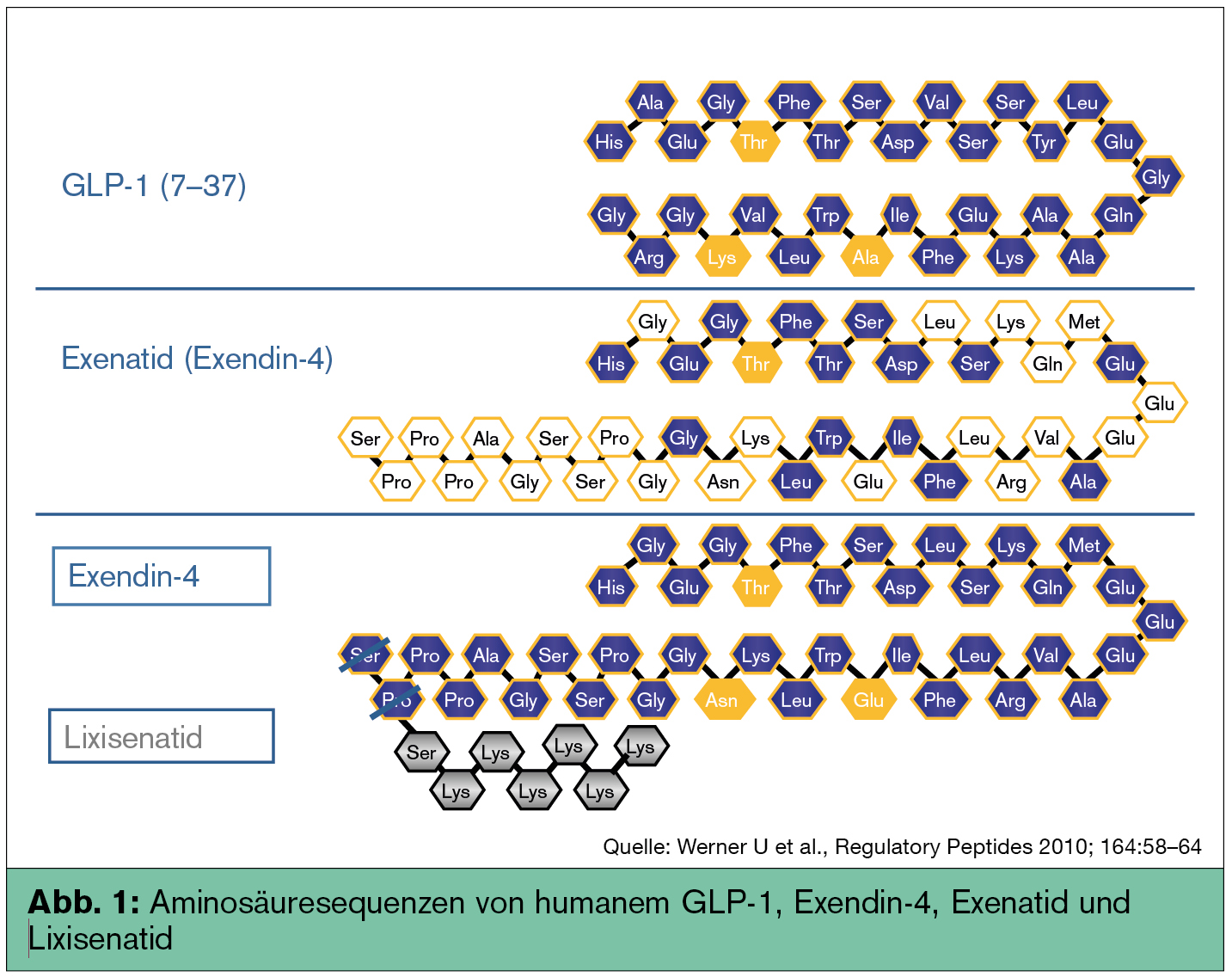 Typ 2 Diabetes - Aktuelle Aspekte Der Therapie Mit GLP 1 Analoga 