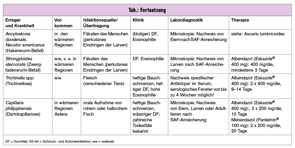 Parasiten Als Durchfallerreger Medmedia