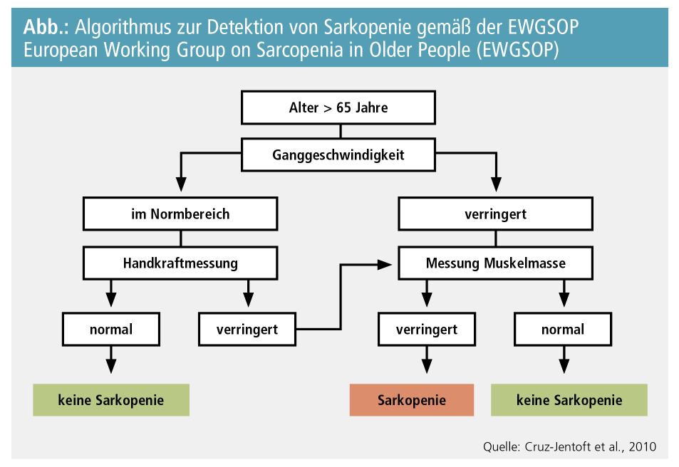 Die Determinanten des Gewichtsverlusts